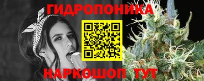 эйфоретик Шебекино